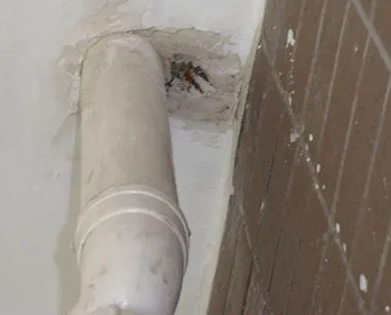 阳高漏水检测哪家好